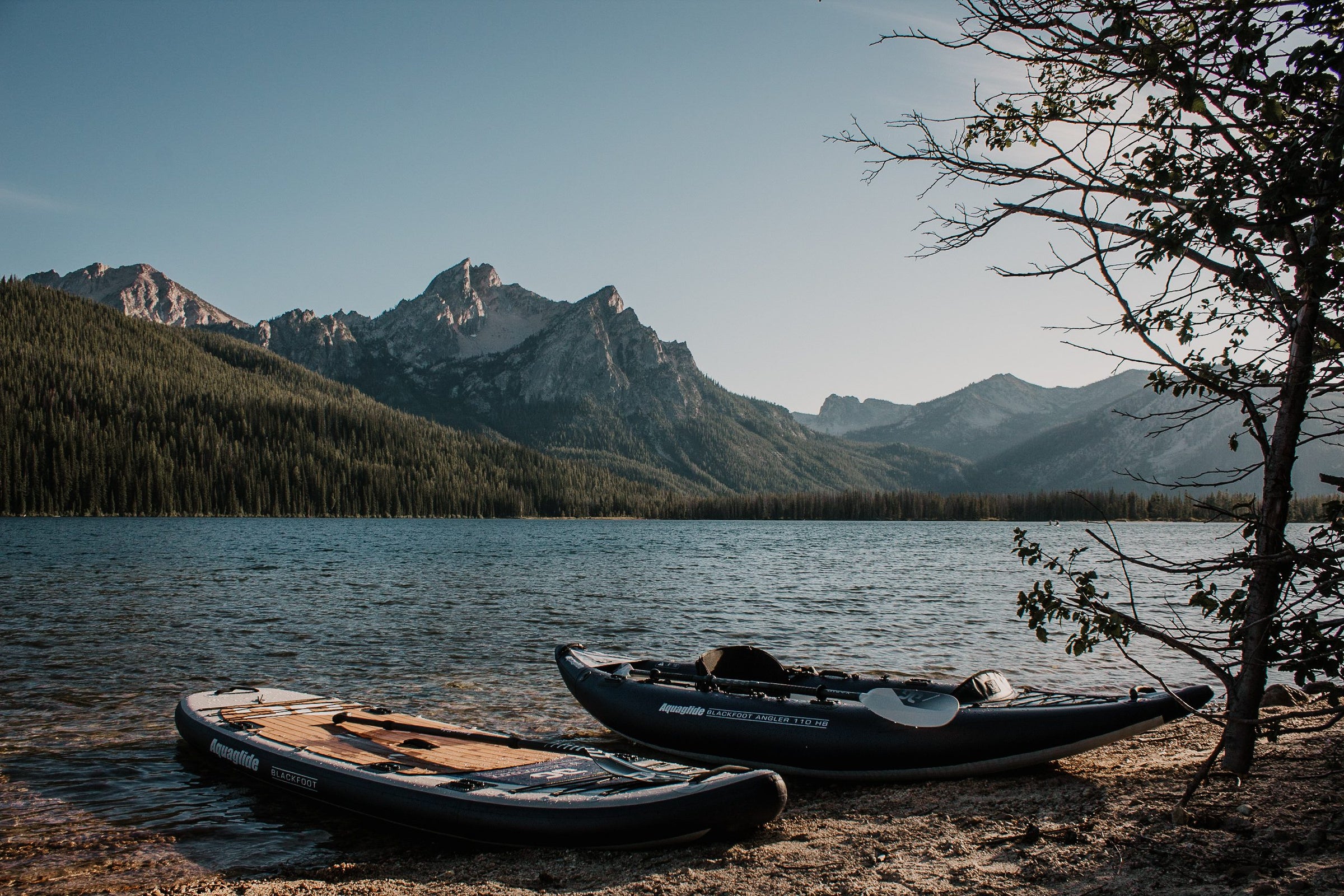Two kayaks on a lakeshore with mountains in the background and a tree on the right.
