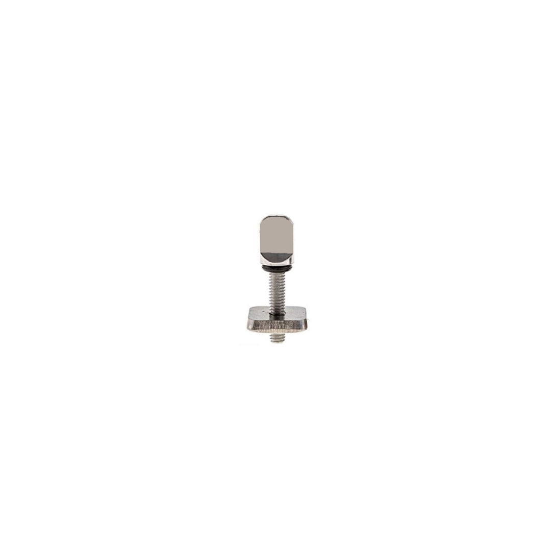 Silver hinge screw set.